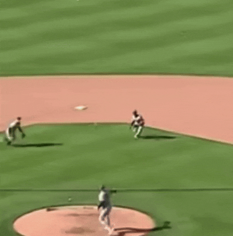 Yankees Mets GIF by Billy Jensen