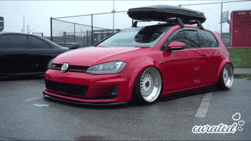 Photography Club GIF by Curated Stance Club!