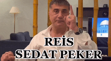 Reis GIF by adajrmusic