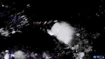 Puerto Rico Fiona GIF by GIPHY News