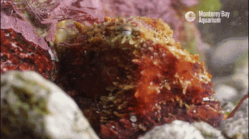 200.gif?cid=fc005b082d04d00b169431190286744a7671c98c8dee03c0&rid=200.gif&ct=g