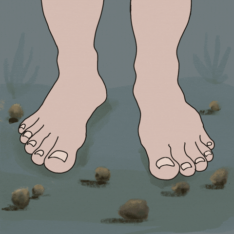 platypus feet gif