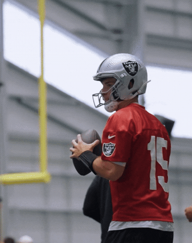 Las Vegas Raiders GIF