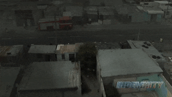 Independent Film GIF by Magnolia Pictures