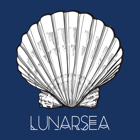 lunarseadesigns shell scallop lunarsea lunarsea designs GIF