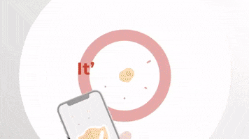 United States GIF