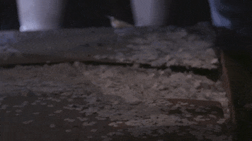 Lyric Opera of Chicago GIF
