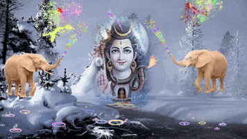 Happy Holi GIF