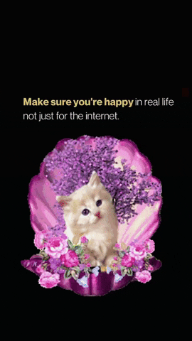 Happy Cat GIF by systaime