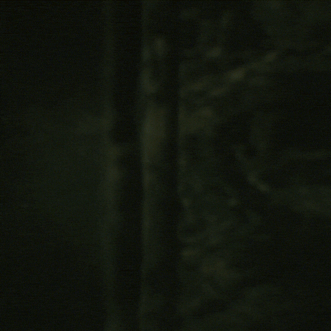 Vanaheim GIF