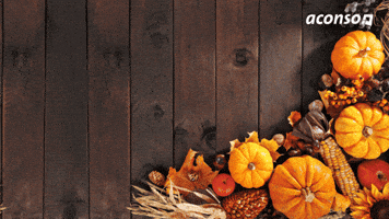 Human Resources Eating GIF by aconso AG