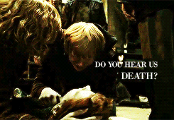 harry potter and the order of the phoenix