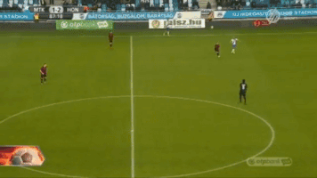 meszolysaman  GIF