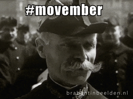 Movember Mustaches GIF by Brabant in Beelden