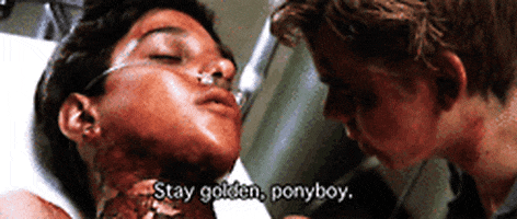 the outsiders ponyboy curtis johnny cade stay gold se hinton - 200_s