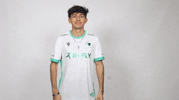 Brawl Stars Win GIF by Reply Totem