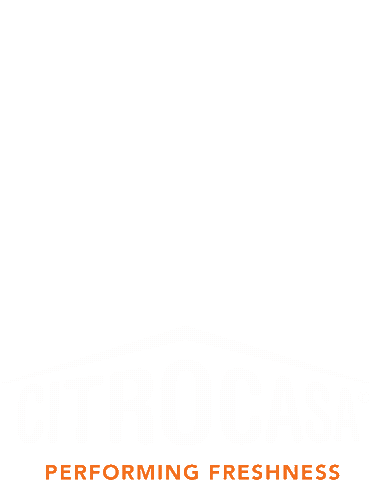 Orange Lemon Sticker by CITROCASA