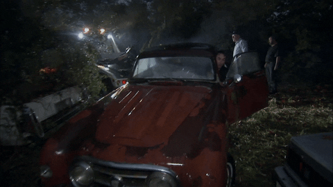 american pickers smile GIF by History UK
