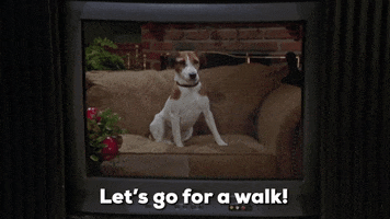 Dog Puppy GIF by Paramount+