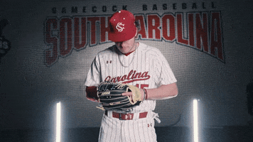 South Carolina Baseball GIF by gamecocksonline