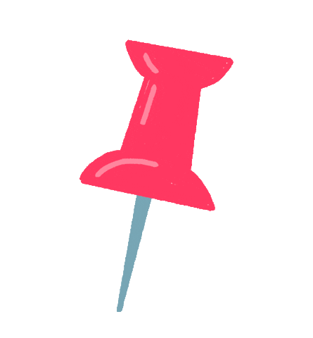 Photo Camera Sticker by LOSAN