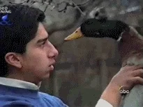 duck GIF