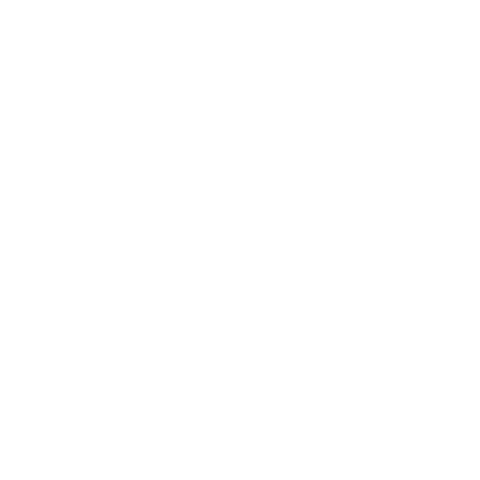 BIRD Sticker