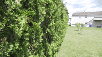 Ghost Goodbye GIF