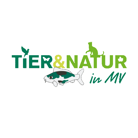 Rostock Sticker by inRostock GmbH HanseMesse