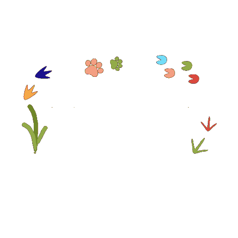 Animated Sticker