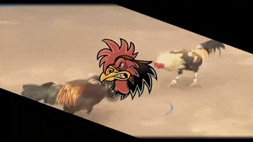 Daga12H GIF