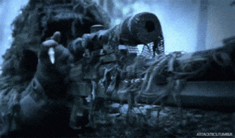 Sniper GIF by memecandy