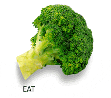 Agribio GIF