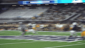 Old Dominion College GIF by ODU Football