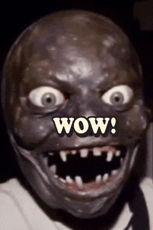 Wowie Wow GIF by The LSD Hotel