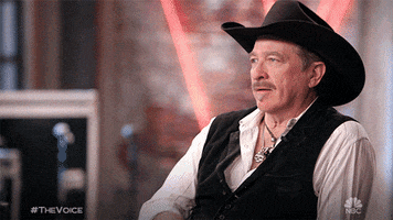brooks &amp; dunn GIF by The Voice
