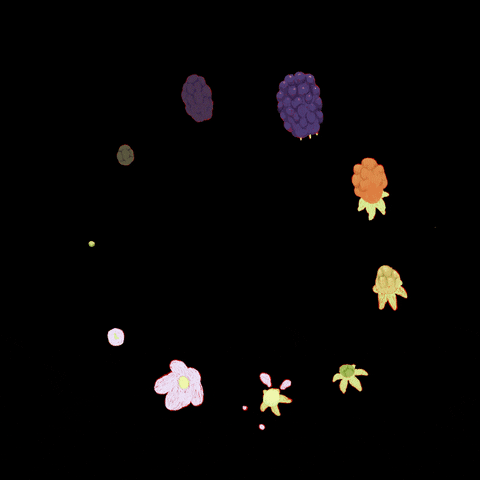 alxkmz GIF