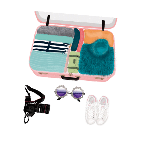 Travel Sticker