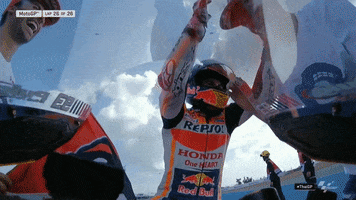 Celebrate Marc Marquez GIF by MotoGP