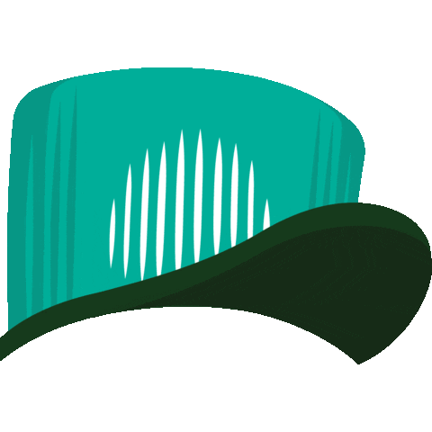 Public Transportation Rail Sticker by Phoenix Valley Metro