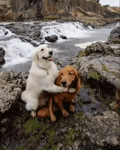Friends Enjoying GIF - Find & Share on GIPHY