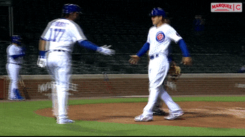 Cubs Anthonyrizzo GIF by Marquee Sports Network
