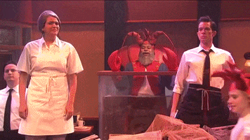Snl GIF