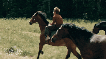 Stellan Skarsgard Horses GIF by Magnolia Pictures
