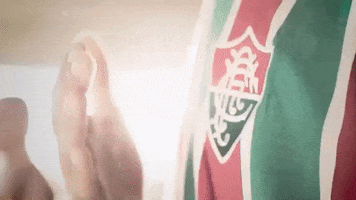 tricolor GIF by Fluminense Football Club