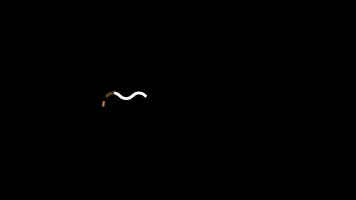 Alinhadores Moov GIF