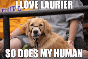 Dogs Homecoming GIF by Wilfrid Laurier University