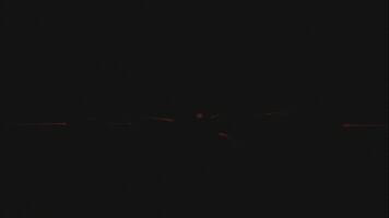 TzviSimcha GIF