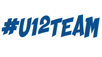 Tasskiracing Sticker by TASSkiTeam