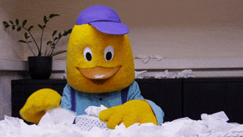 GIF by BillyBird